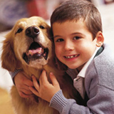 Win an Iams Package For Your Cat or Dog and Two Kuranda Beds For Shelter Pets