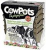 Casa Verde: CowPots
