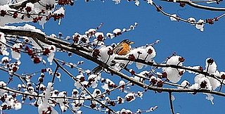 Are You Over Winter?