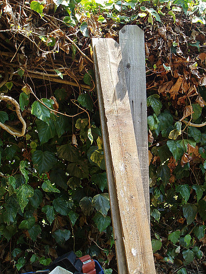 Building Garden Boxes Doesn't Have to Be Expensive Building Garden Boxes Doesn't Have to Be Expensive
