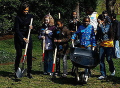 How-To: Start Your Own Victory Garden How-To: Start Your Own Victory Garden