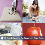 10 Simple Ways to Go Green and Save Green
