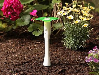 Garden Therapy: EasyBloom