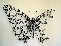 Guess What These Butterflies Are Made From?