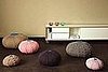 Crave Worthy: Sea Urchin Poufs