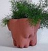 Guess What This Pot Was Formed With?