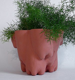 Guess What This Pot Was Formed With?