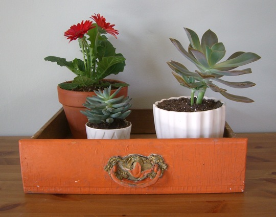 Roundup: Weekend DIYs Roundup: Weekend DIYs