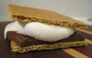 Happy S'Mores Day