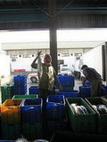We landed obscenly early, so we went to the wholesale market.  It was actually very cool