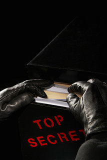 What Crime Would you Commit?