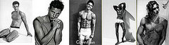 Dear Poll: Who Is Your Favorite CK Model? 