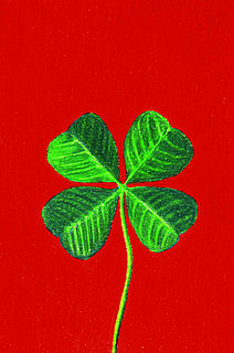 Do Tell: What Do You Feel About Luck?