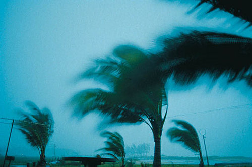 Do Tell: What Natural Disaster Do You Fear the Most? 