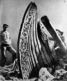 Viking queen exhumed to solve mystery