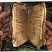 The Page Protectors of Timbuktu
