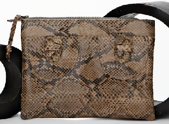 The Bag to Have: Kingsley Python Clutch