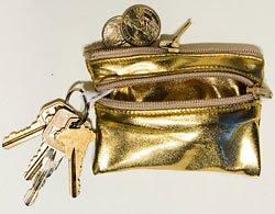 Simply Fab: American Apparel Lamé Coin Purse Simply Fab: American Apparel Lamé Coin Purse