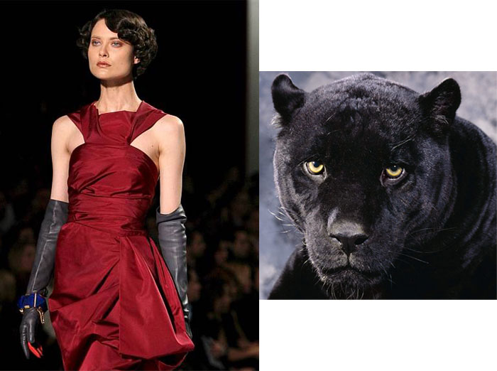 Shalom-Panther Shalom-Panther