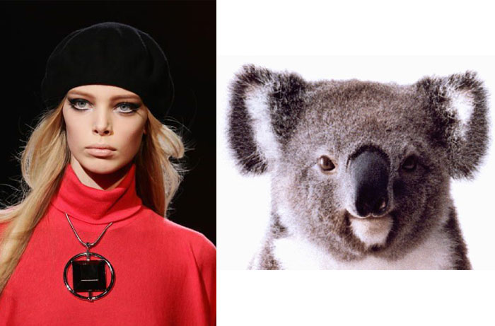 Tanya-D-Koala Tanya-D-Koala