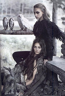 Do You Wear Fur? 