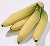 Puzzled About Potassium? 