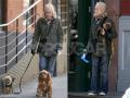 Naomi Walks Her Four Legged Children