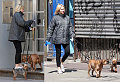 Naomi and The Dogs Take The Baby For a Walk