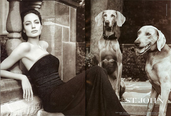 Angelina Goes To The Dogs For St. John
