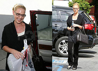 Katherine Heigl's Huge Year
