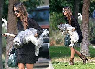 Rachel Bilson Leaves Her Legacy To Gossip Girls