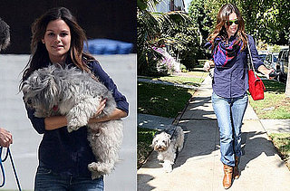 Rachel Bilson's Jump to the Big Screen