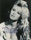 MissBardot