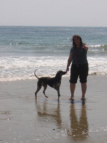 Arroyo Burro Dog Beach in Santa Barbara, CA