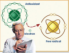 The Skinny on: Antioxidants The Skinny on: Antioxidants