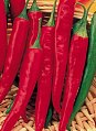 More Than Hot:  The Benefits of Cayenne