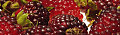 Eat Your Antioxidants