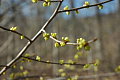 Speak Up:  When Spring Arrives, What's Your Favorite Thing to do?