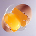 Top Ten Nutrition Myths Debunked