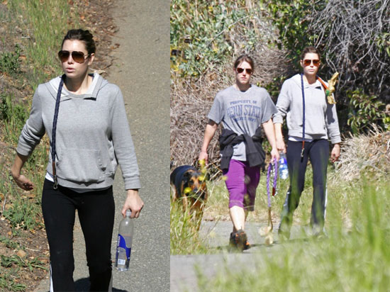 Burn Calories, Walk Your Dog and Your Dogs