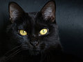 Do Tell:  What are Your Superstitions?