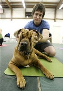 Would You Do Yoga with Your Dog?
