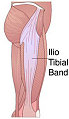 Knee Health & Running: Roll Out Those IT Bands