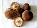 Learn to Love: Shiitake Mushrooms