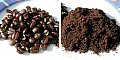 At Home Spa Treatment: Coffee Scrub