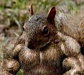 Go Nuts! Eat Healthy Fats