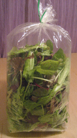How To Store Salad Greens