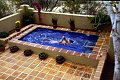 Wouldn't You Love to Swim in an Endless Pool?