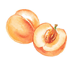 Not So Peachy: Pesticides and Peaches Not So Peachy: Pesticides and Peaches