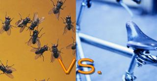 Biking:  Bugs vs. Saddle Sore - Which Is Worse?